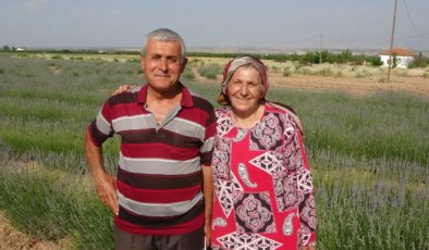 İnternetten gördüler, üreticisi oldular: Üçüncü hasat başladı…
