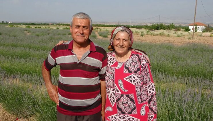 İnternetten gördüler, üreticisi oldular: Üçüncü hasat başladı…