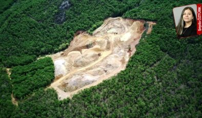 İSKİ’nin ve uzmanların uyarılarına karşın projeye ‘Dur’ diyen yok: 41 bin ağaç kesilecek