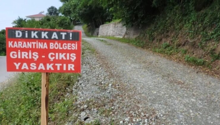 Isparta’da şap alarmı… 3 köy karantinaya alındı!