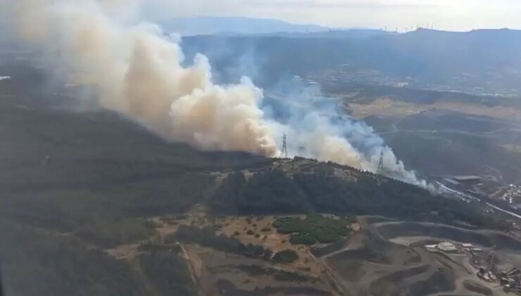 İzmir Aliağa’da orman yangını çıktı