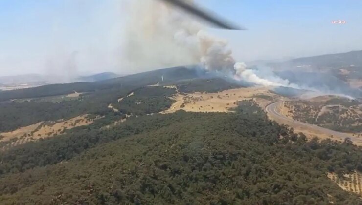 İzmir Foça’da orman yangını: Havadan ve karadan müdahale ediliyor