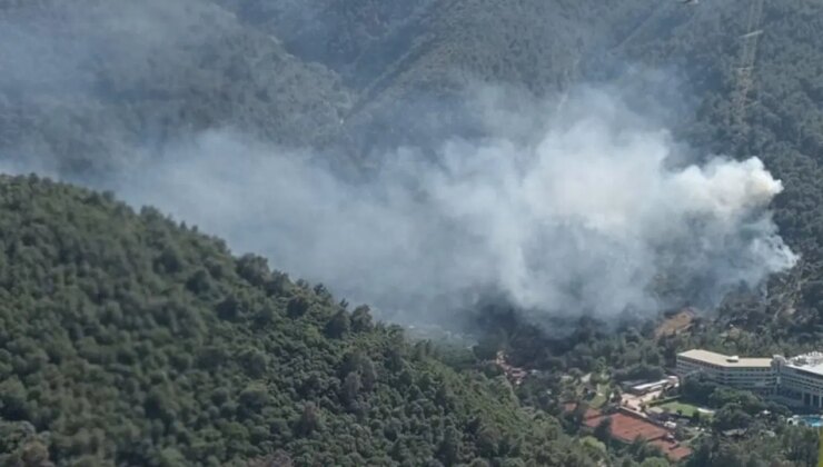 İzmir’de orman yangını!
