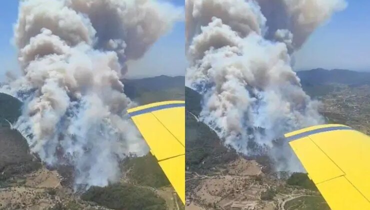 İzmir’de orman yangını: Ekipler müdahale ediyor