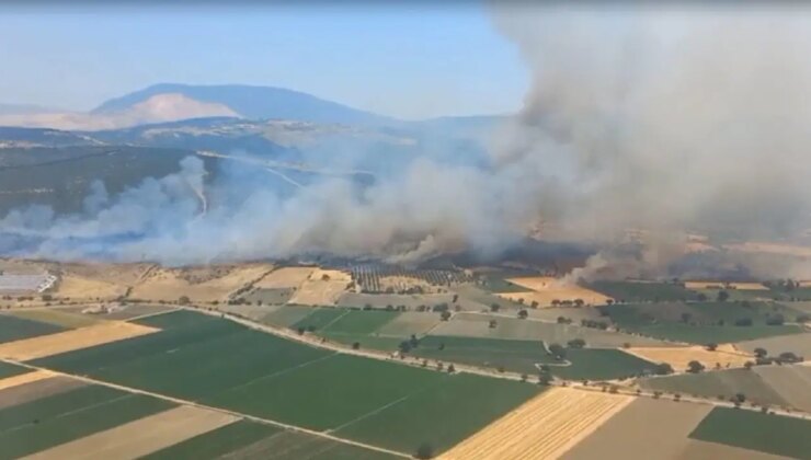 İzmir’de orman yangını: Havadan ve karadan müdahale!