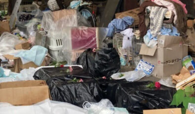 Japonya’da ‘kedi gönüllüsü’ kadının evinde yüzlerce ölü kedi bulundu