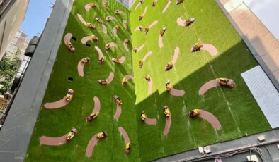 Kabataş’taki Yanköşe’de sanatçı Alper Aydın’ın yerleştirmesi izleyiciyle buluştu: ‘Yeryüzünün derisini yüzen insan’