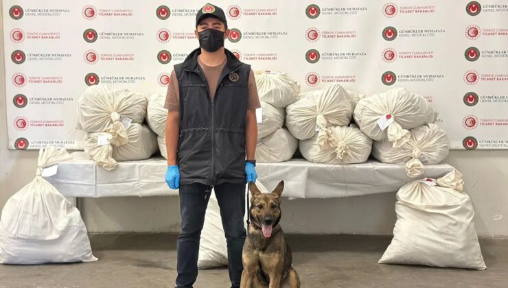 Kapıkule’de 212 kilo esrar ele geçirildi!