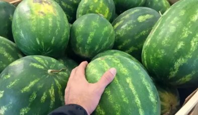 Karpuzda şansa gerek yok: İşte tatlı karpuz seçmenin püf noktaları