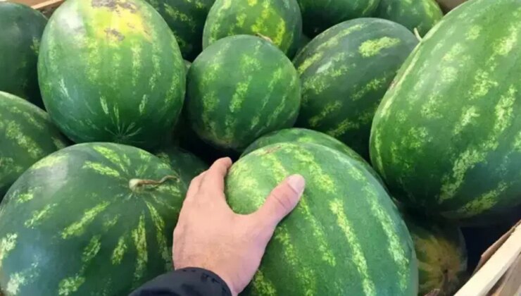 Karpuzda şansa gerek yok: İşte tatlı karpuz seçmenin püf noktaları