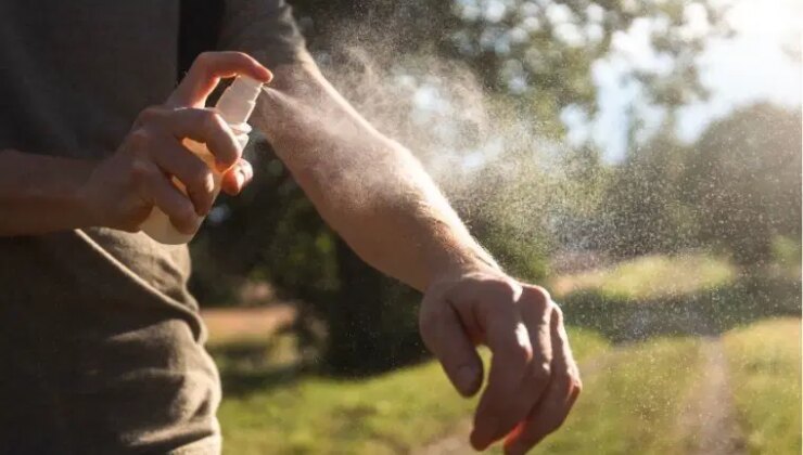 Kimyasal kullanmadan yaz akşamlarını kaşıntısız geçirin: Sivrisineklerden kurtulmanın 7 doğal yolu