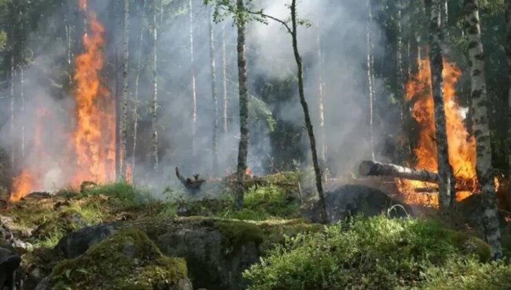 Koç Holding’in Yapay Zekâ Destekli Yangın Modeli FireAId, Uluslararası Zirvede Öne Çıktı