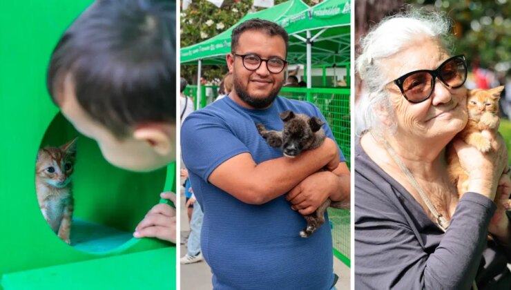 Konak’ta ‘Sahiplendirme Şenliği’ düzenlendi: Yeni yuvalarına kavuştular