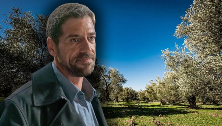 ‘Korkusuz’ Adam Cemal Hünal zeytinlik yasasına ateş püskürdü: Yapacağımız işe…’