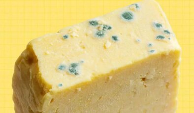 Küfe elveda: Peynirinizi daha uzun süre taze tutacak yöntemler