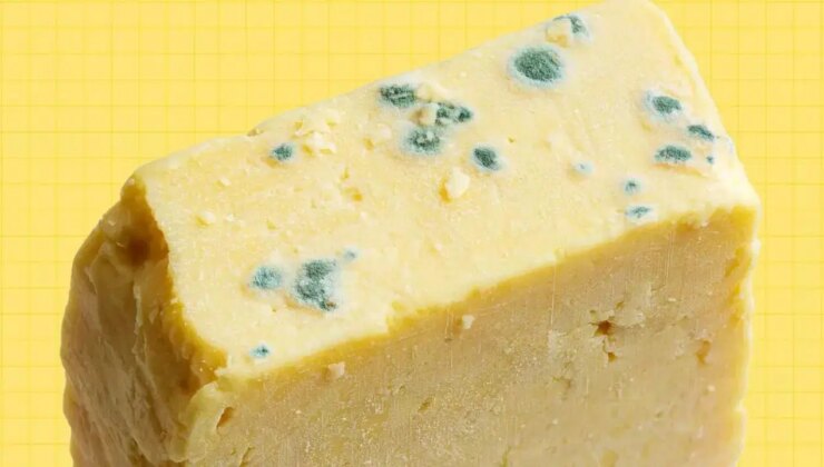 Küfe elveda: Peynirinizi daha uzun süre taze tutacak yöntemler