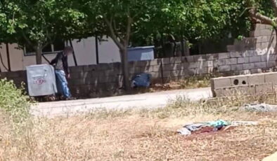 Kullandıkları uyuşturucu ‘zombi’ etkisi yarattı: Sokak ortasında yere yığıldılar!