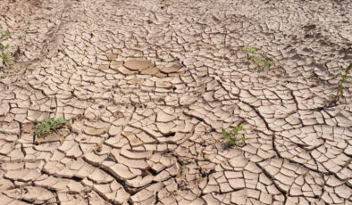 Kuraklık nedeniyle 2050’ye kadar 1 milyara yakın insan göç edecek