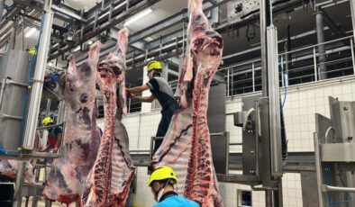 Kurban Bayramı’nda kist hidatik tehlikesi: Sakatatları rastgele atmayın