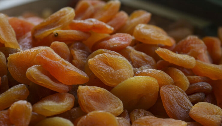 Malatya, yılın ilk 5 ayında 132 milyon dolarlık kuru kayısı ihraç etti