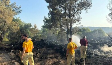 Mangal yakarak orman yangınına sebep olmuştu: Tutuklandı