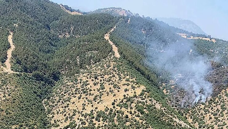 Manisa’da orman yangını