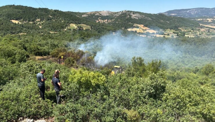 Manisa’da orman yangını paniği: 30 dakikalık müdahale!