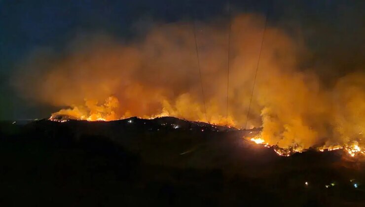Manisa’daki yangınla ilgili 1 kişi tutuklandı