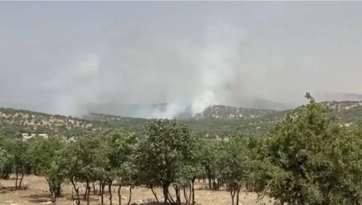 Mardin’de orman yangını!