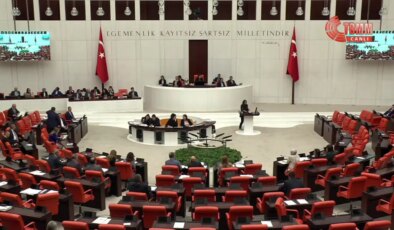 Meclis’te Kürtçe ‘Allah belanı versin’ tartışması: ‘Kastım doğa katliamı yapanlara’