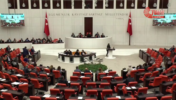 Meclis’te Kürtçe ‘Allah belanı versin’ tartışması: ‘Kastım doğa katliamı yapanlara’