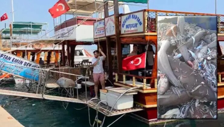 Mersin’de 8 köpekbalığı görülmüştü! Tatilciler tedirgin oldu!