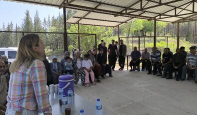 Milli park davaları nedeniyle onlarca yurttaş evsiz kalacak! ‘Bu insanlar gözü yaşlı girdiler bu bayrama’