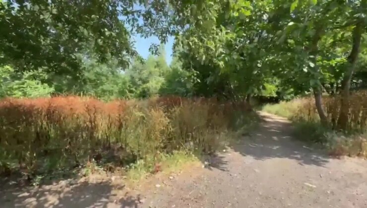 Mısırlı Millet Bahçesi polemiği: AKP’li Hilmi Türkmen’e Üsküdar Belediyesi’nden yanıt