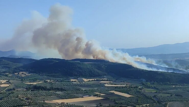 Muğla için yüksek sıcaklık ve orman yangını uyarısı