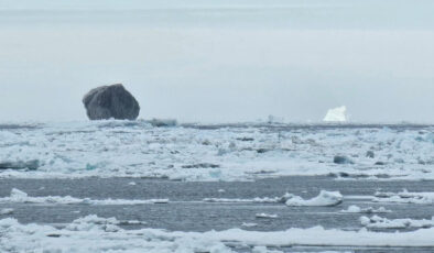 Nadir görülen siyah buz dağı dikkati çekti