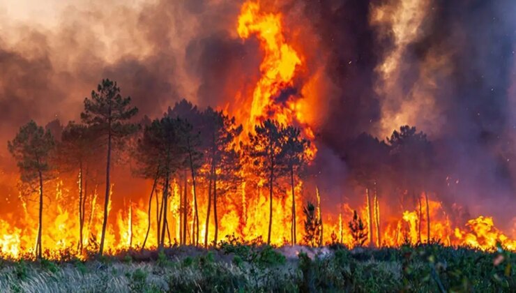 Orman Genel Müdürlüğü duyurdu: 8 yangın kontrol altına alındı