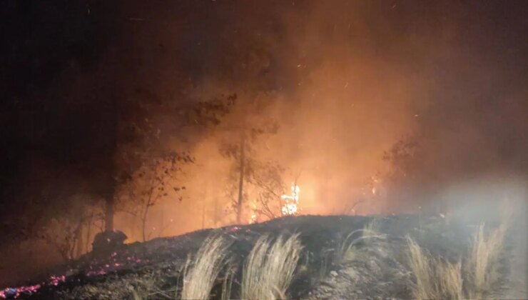 Osmaniye ve Mersin’deki yangınlar kontrol altına alındı
