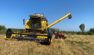 Osmaniye’de hasat geç başladı: Sulanan araziden iki katı verim alınıyor