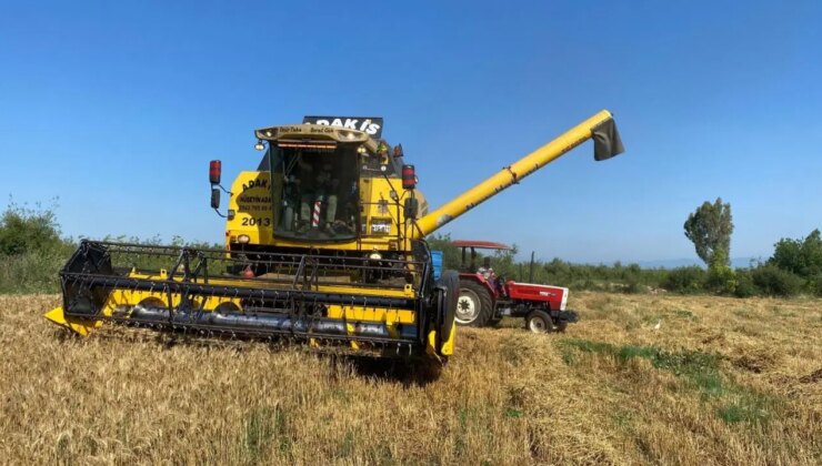 Osmaniye’de hasat geç başladı: Sulanan araziden iki katı verim alınıyor