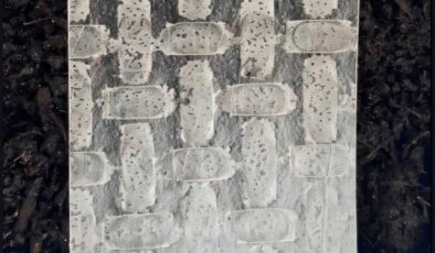 Pirinç yufkasından robot yaptılar