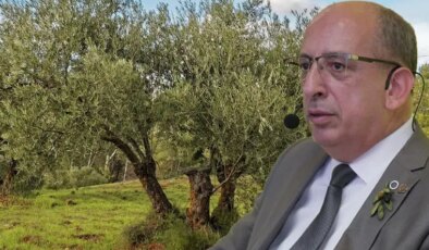 Prof. Dr. Mücahit Taha Özkaya: Zeytin ağaçları doğru koşullarda…