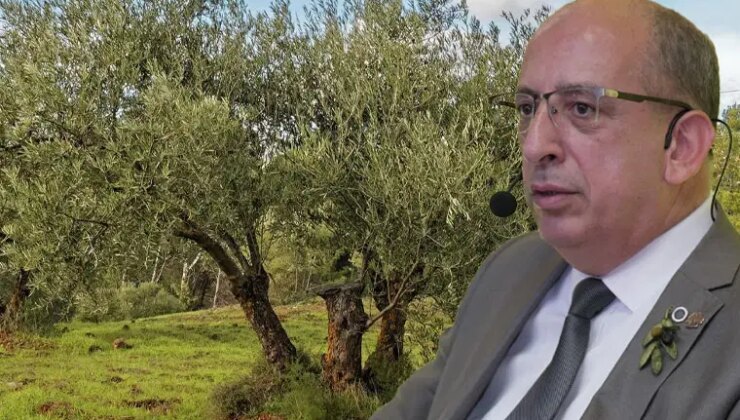 Prof. Dr. Mücahit Taha Özkaya: Zeytin ağaçları doğru koşullarda…