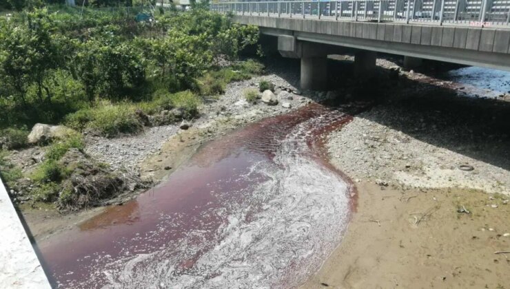 Rize’de kurban kanları dereyi ve denizi kırmızıya boyadı