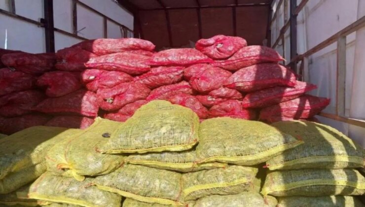 Sakarya’da 3 milyon TL değerinde kaçak midye ele geçirildi