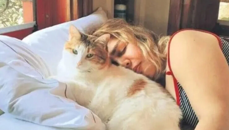 Sezen Aksu’nun acı günü! Kedisi Sütlü öldü