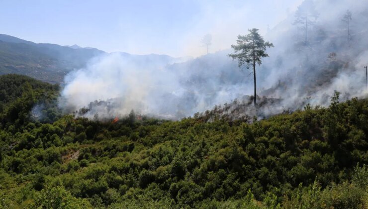 ‘Şiddetli rüzgar’ etkisi: Antalya’nın 3 ilçesinde orman yangını!