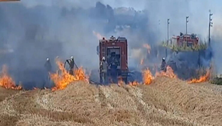 Silivri’de otluk alanda çıkan yangın çiftliğe sıçradı!