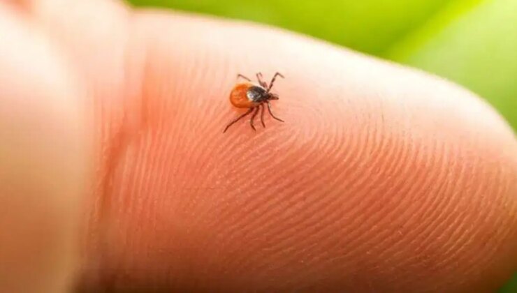 Sivas’ta ‘KKKA’ alarmı: Ölenlerin sayısı 8’e yükseldi!