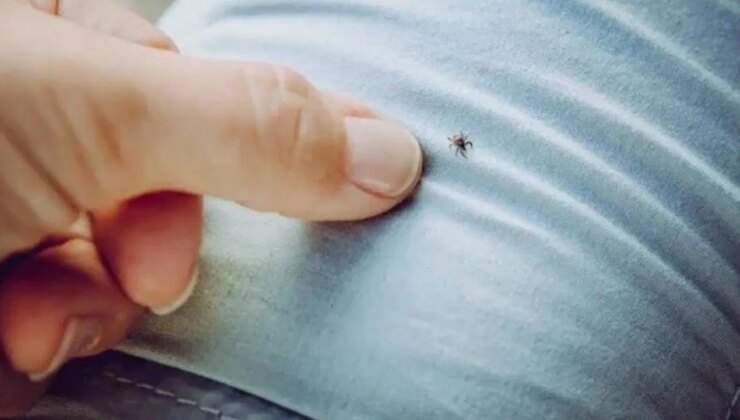 Sivas’ta KKKA alarmı: Ölü sayısı 6’ya yükseldi!